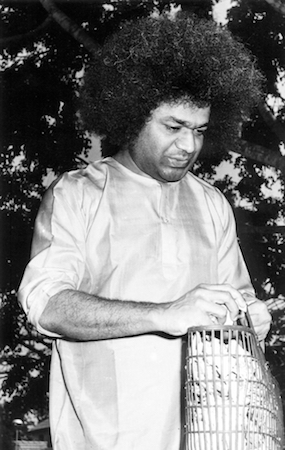 Beloved Bhagawan Sri Sathya Sai Baba